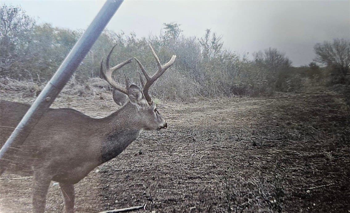 70.84 acres in Duval County - photo 9