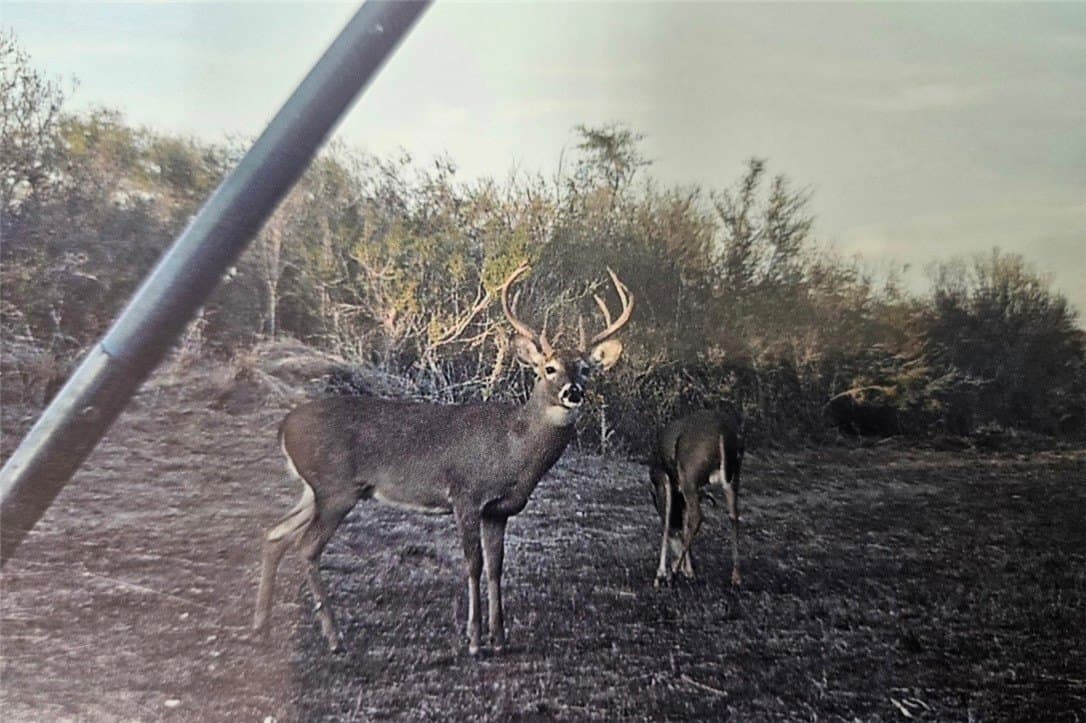 70.84 acres in Duval County gallery image 4