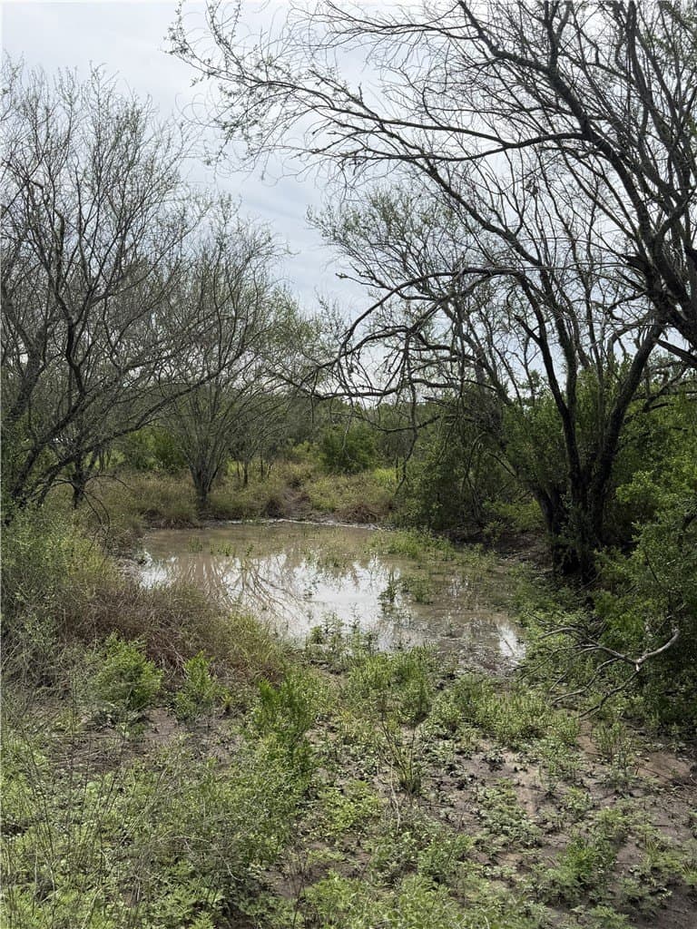 70.84 acres in Duval County gallery image 2