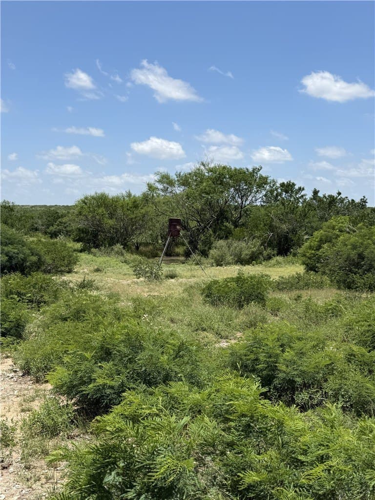 70.84 acres in Duval County - photo 11