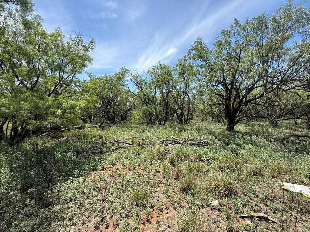 4.89 acres in Taylor County - photo 19