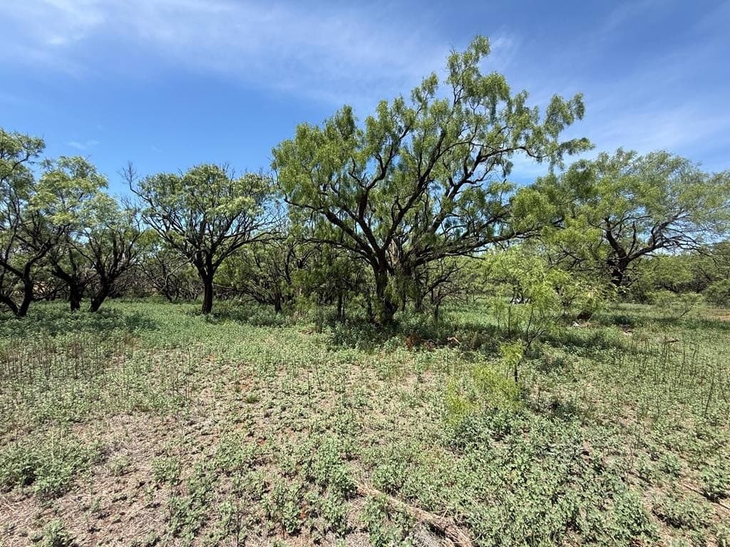 4.89 acres in Taylor County - photo 17