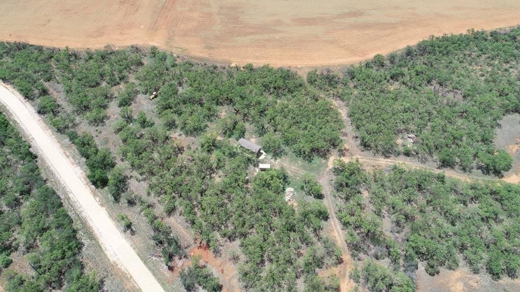 4.89 acres in Taylor County - photo 14