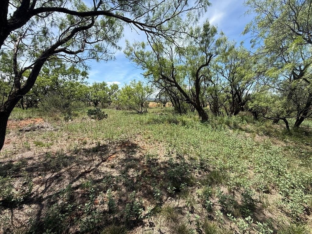 4.89 acres in Taylor County - photo 16