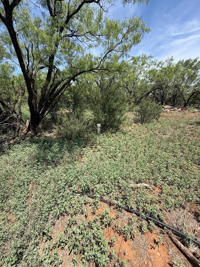 4.89 acres in Taylor County - photo 18