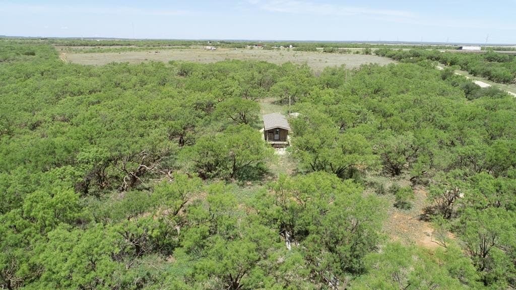 4.89 acres in Taylor County - photo 11