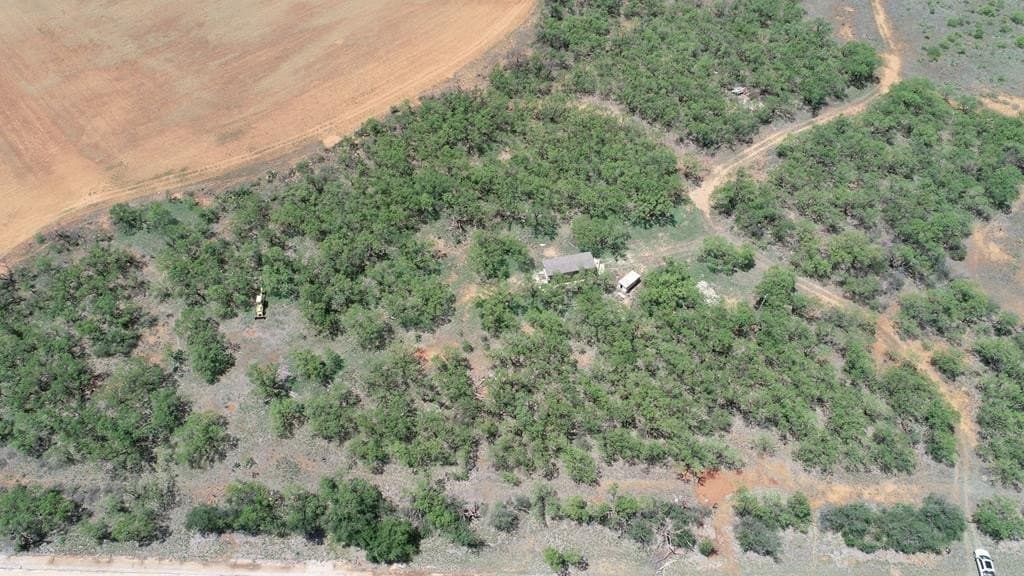 4.89 acres in Taylor County - photo 13