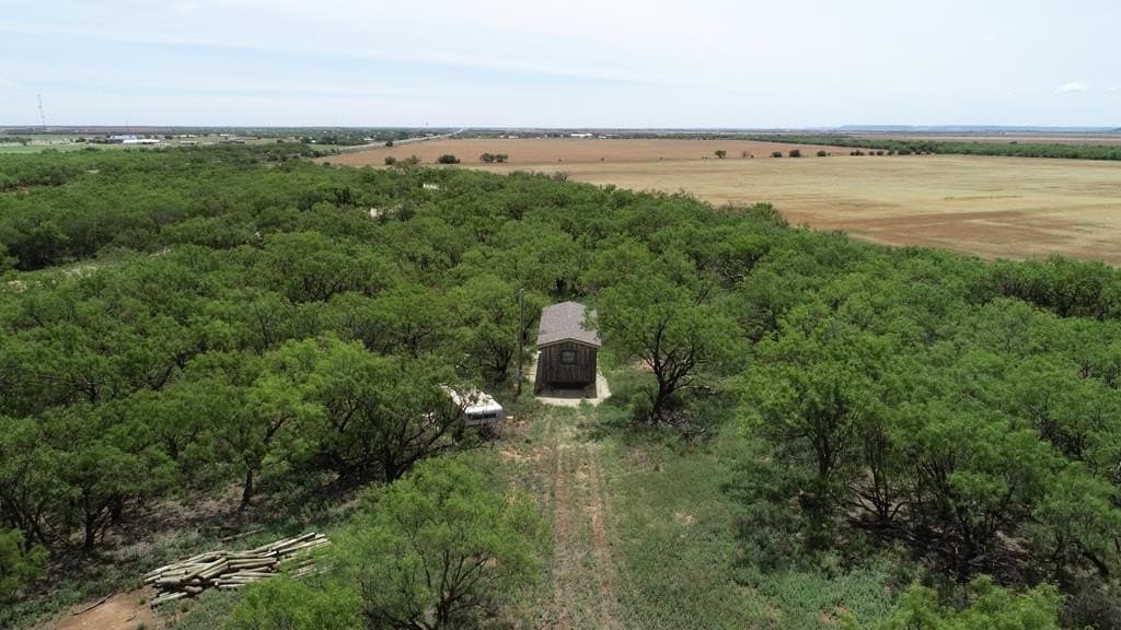 4.89 acres in Taylor County gallery image 4