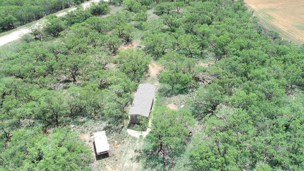 4.89 acres in Taylor County featured view