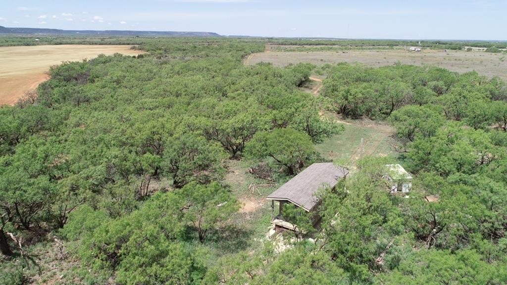4.89 acres in Taylor County - photo 12