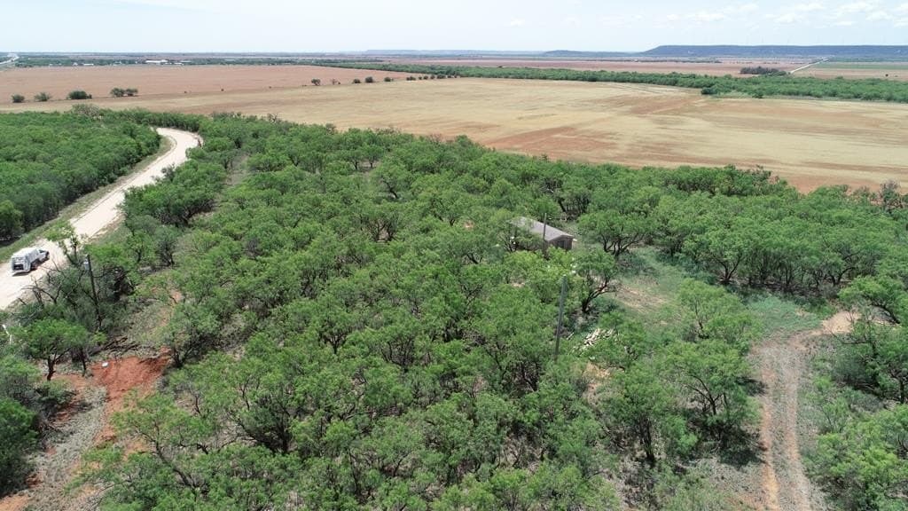 4.89 acres in Taylor County gallery image 3