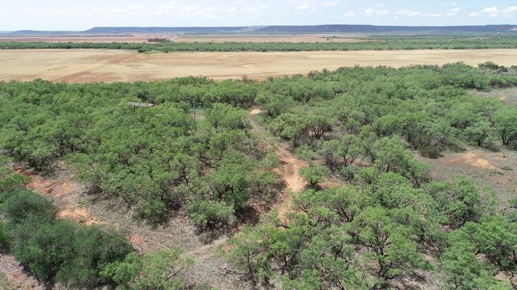 4.89 acres in Taylor County gallery image 2