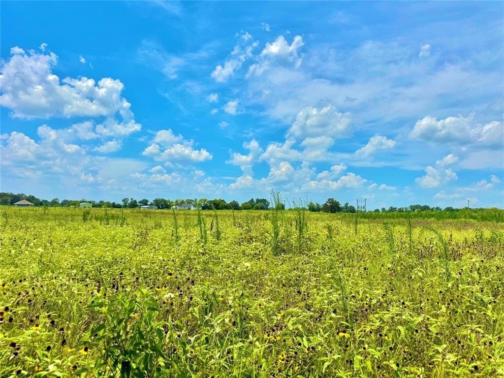 5.71 acres in Hopkins County gallery image 3