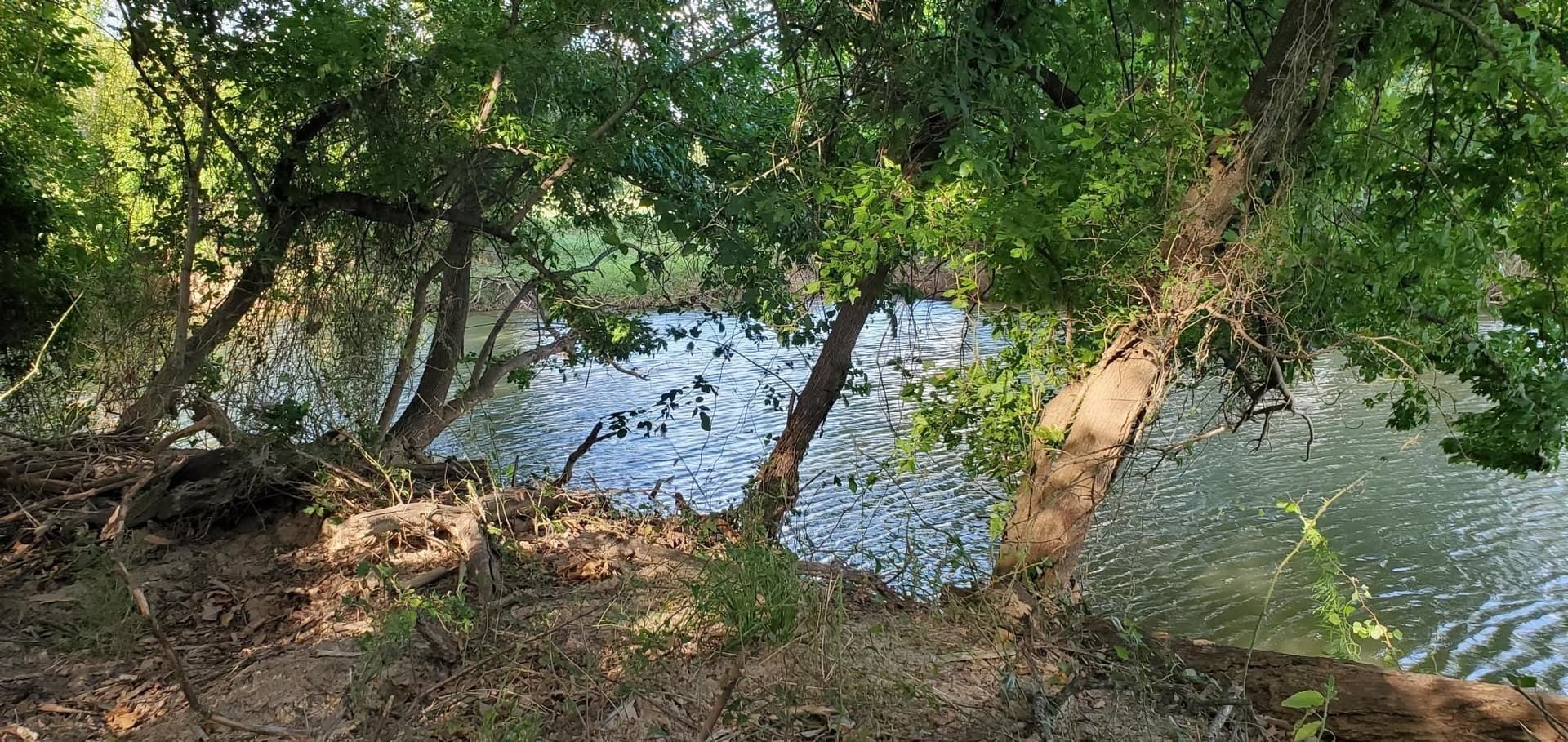 2 acres in Wise County - photo 4