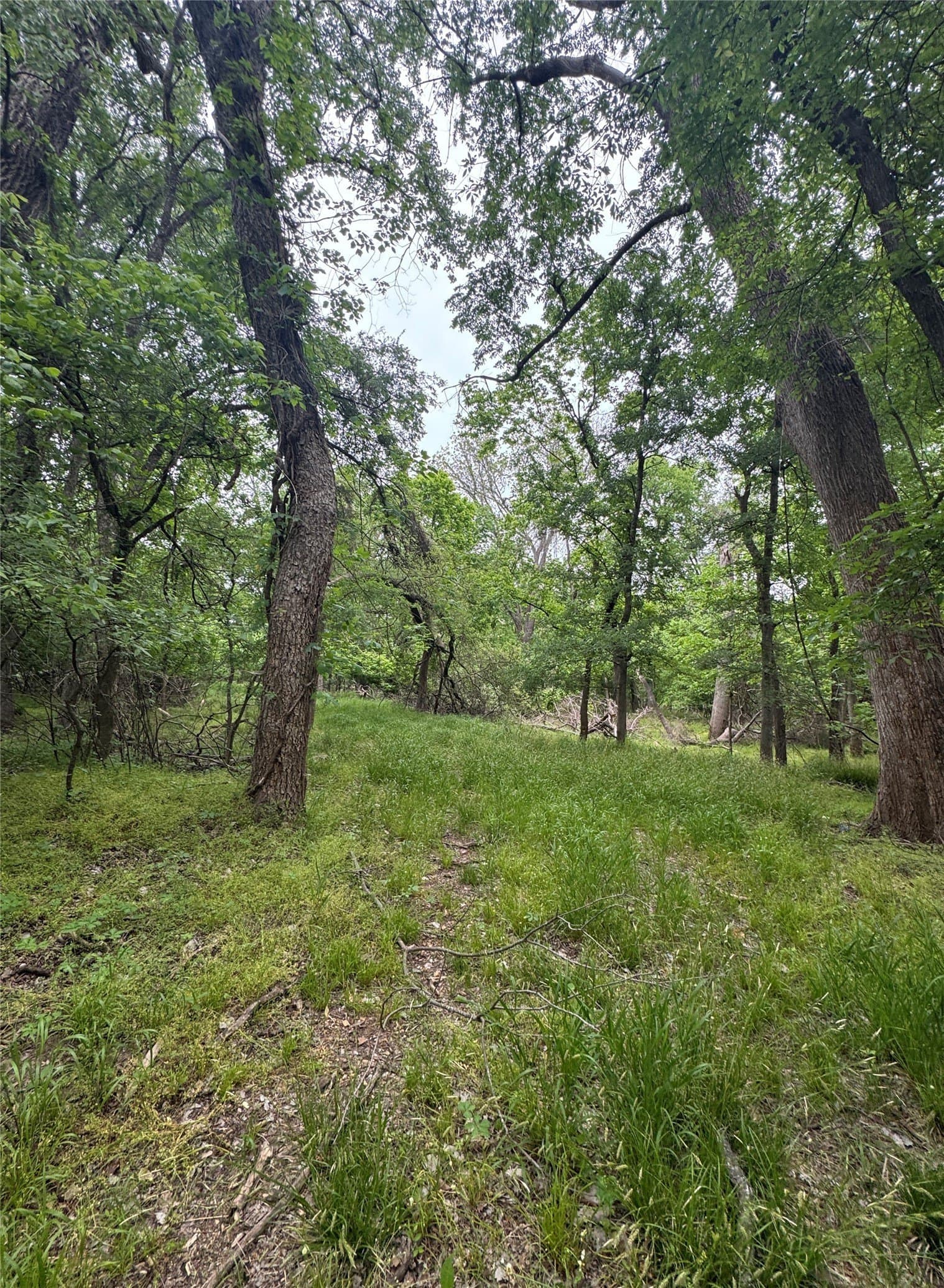 2 acres in Wise County - photo 8