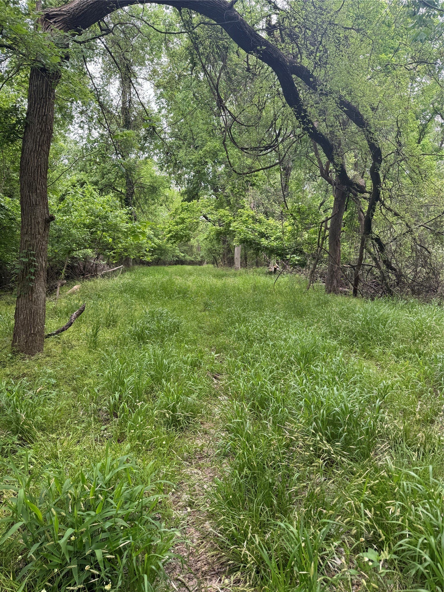 2 acres in Wise County - photo 3