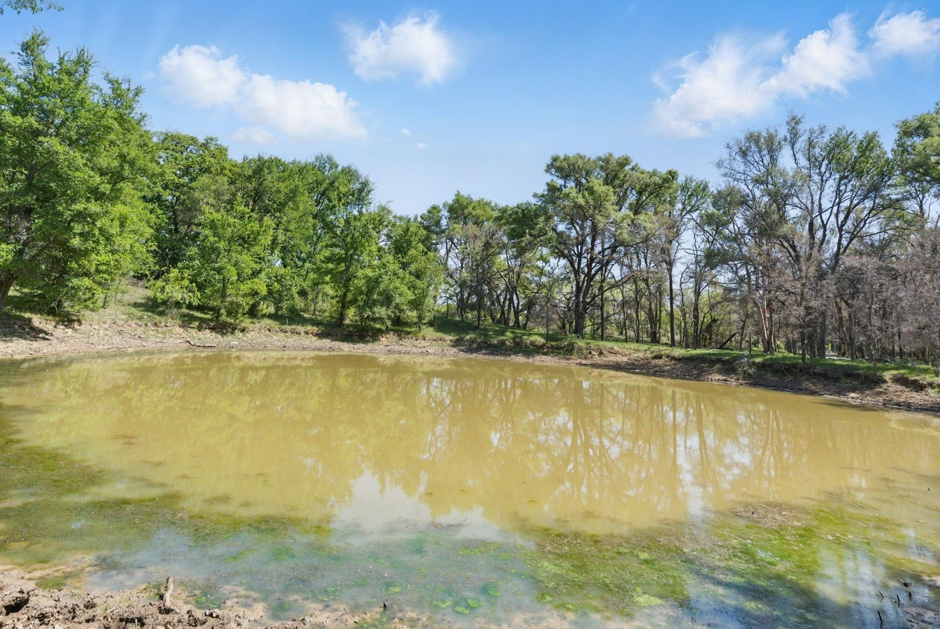 88 acres in Comanche County featured view
