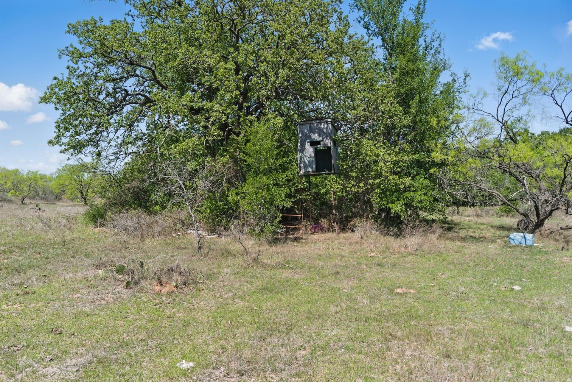 88 acres in Comanche County - photo 36
