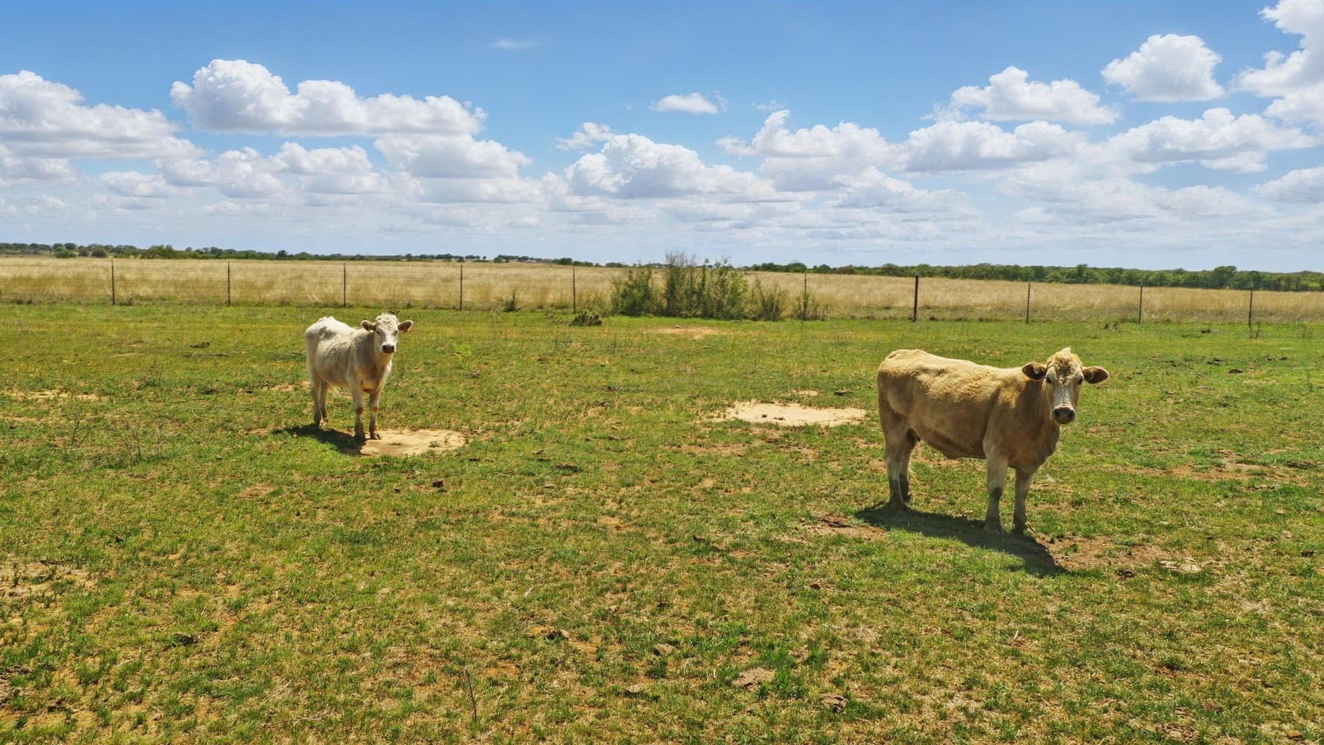 88 acres in Comanche County - photo 39