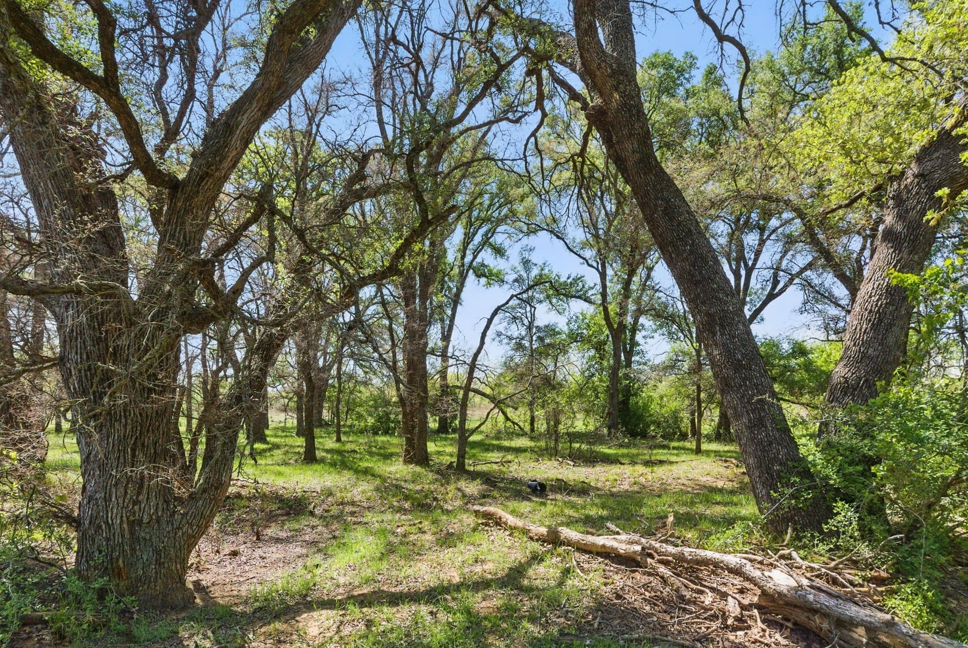 88 acres in Comanche County - photo 40