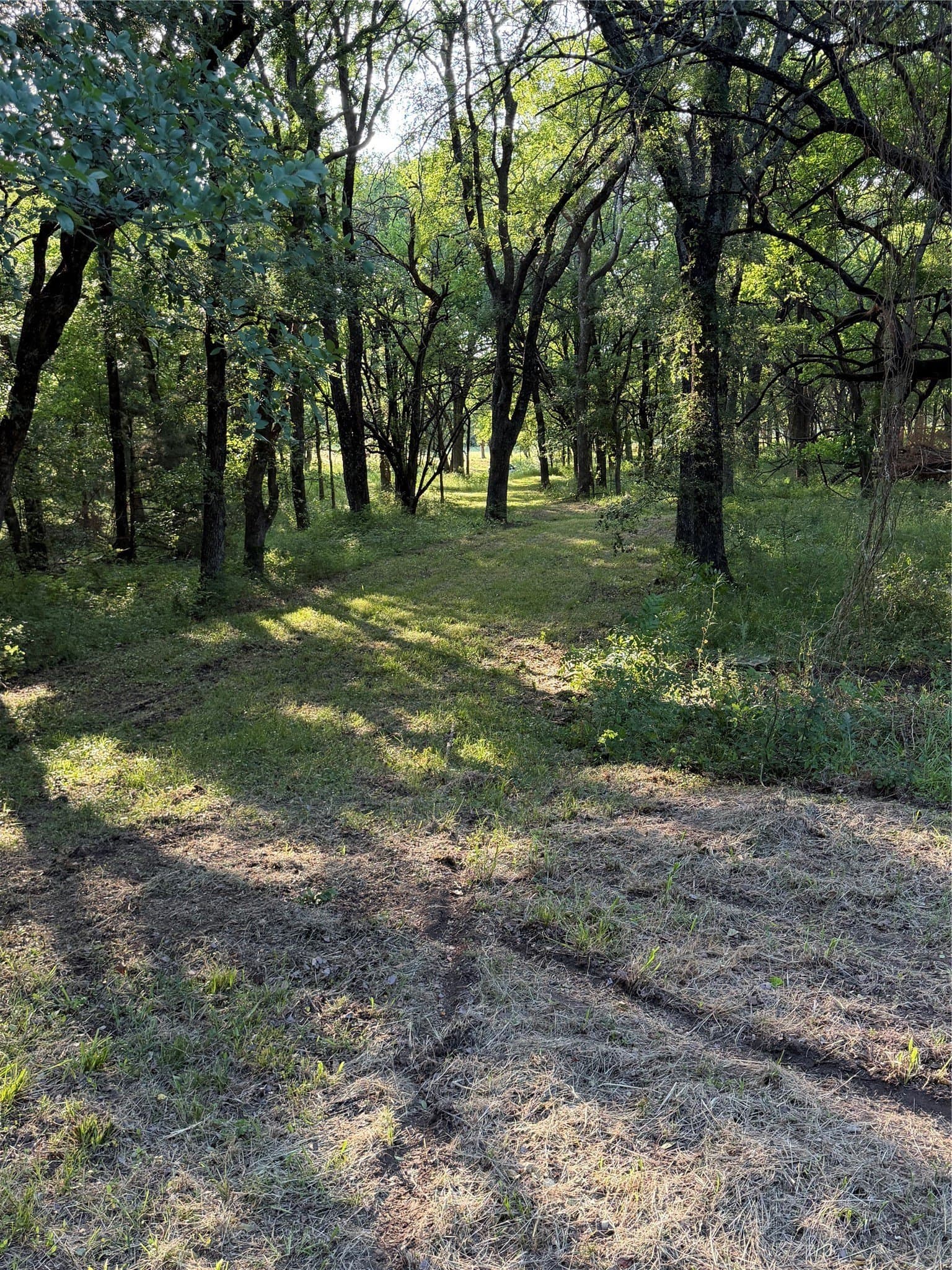 9.37 acres in Grayson County - photo 6