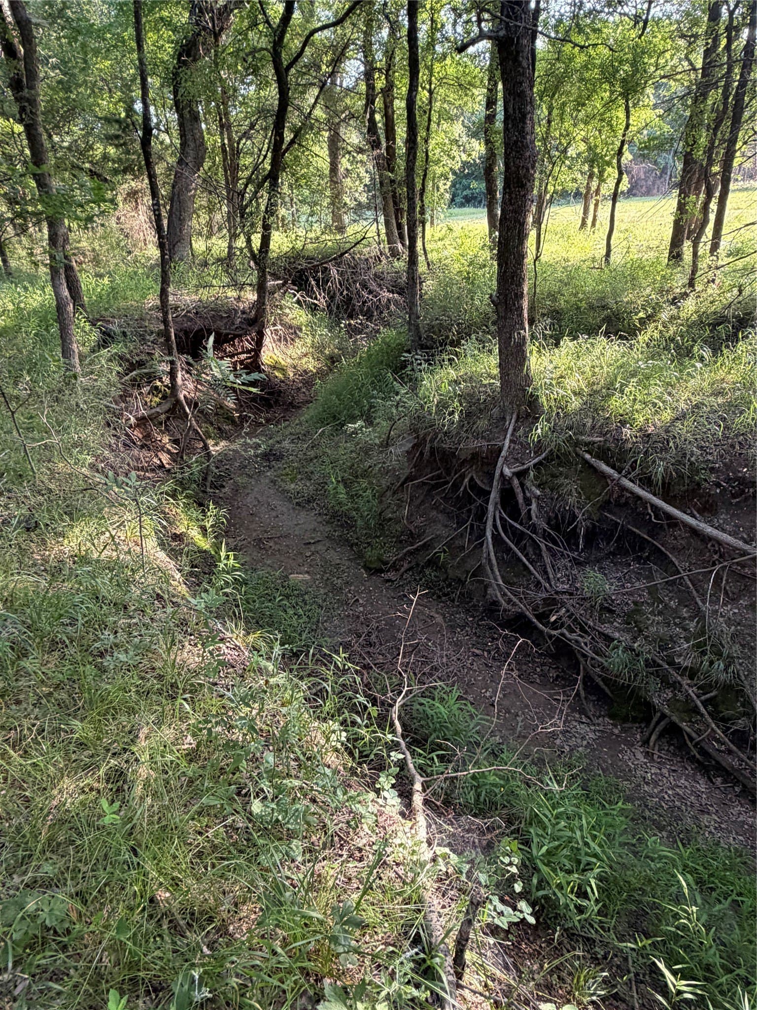 9.37 acres in Grayson County - photo 7