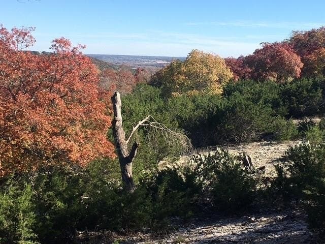 1.83 acres in Kerr County - photo 6