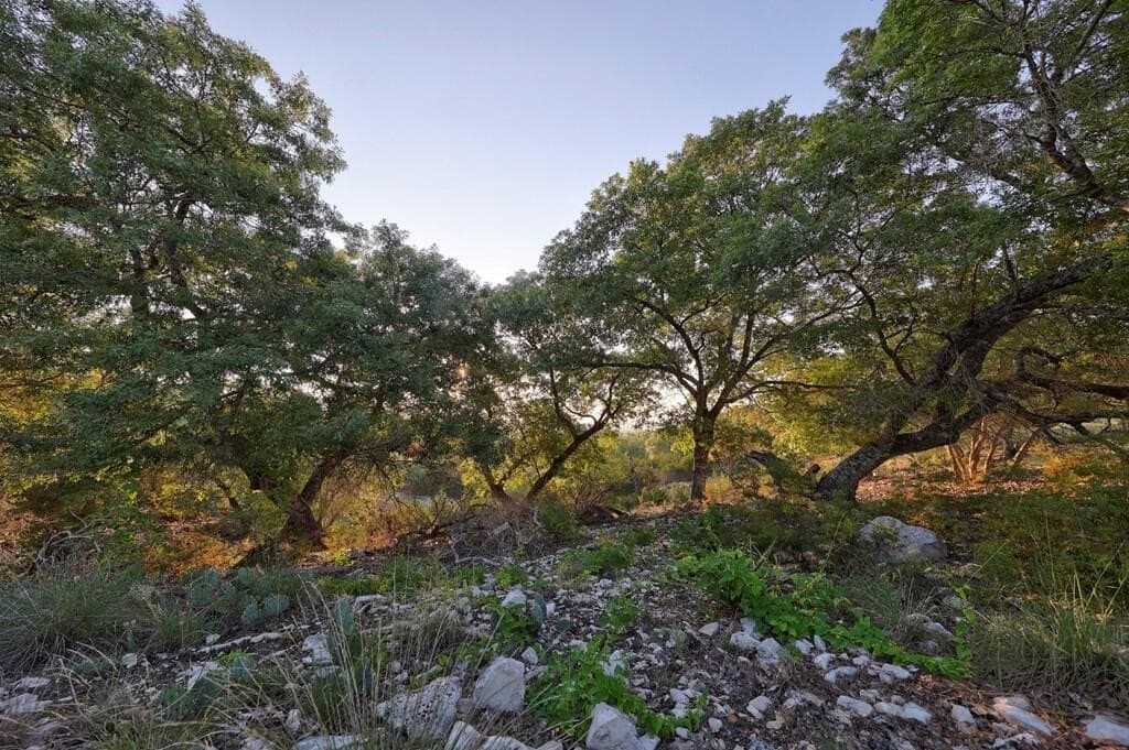 1.83 acres in Kerr County - photo 13