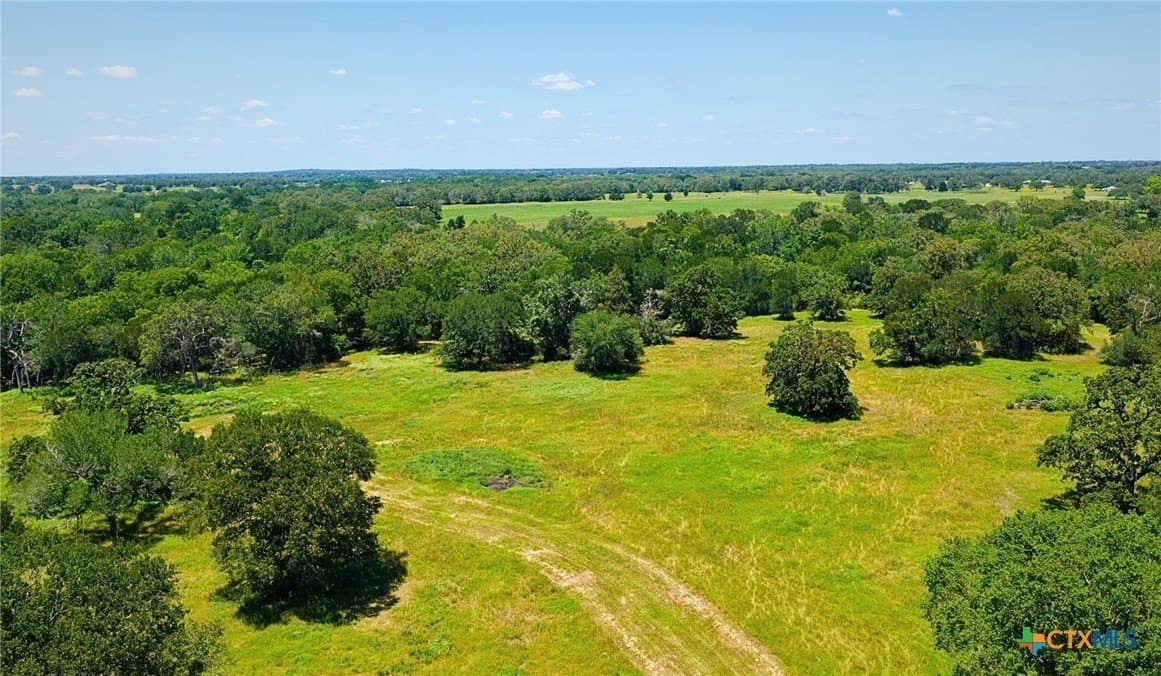 81.02 acres in Burleson County - photo 13