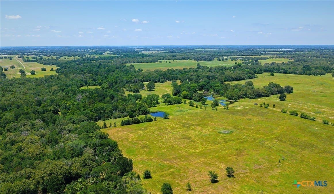 81.02 acres in Burleson County - photo 12