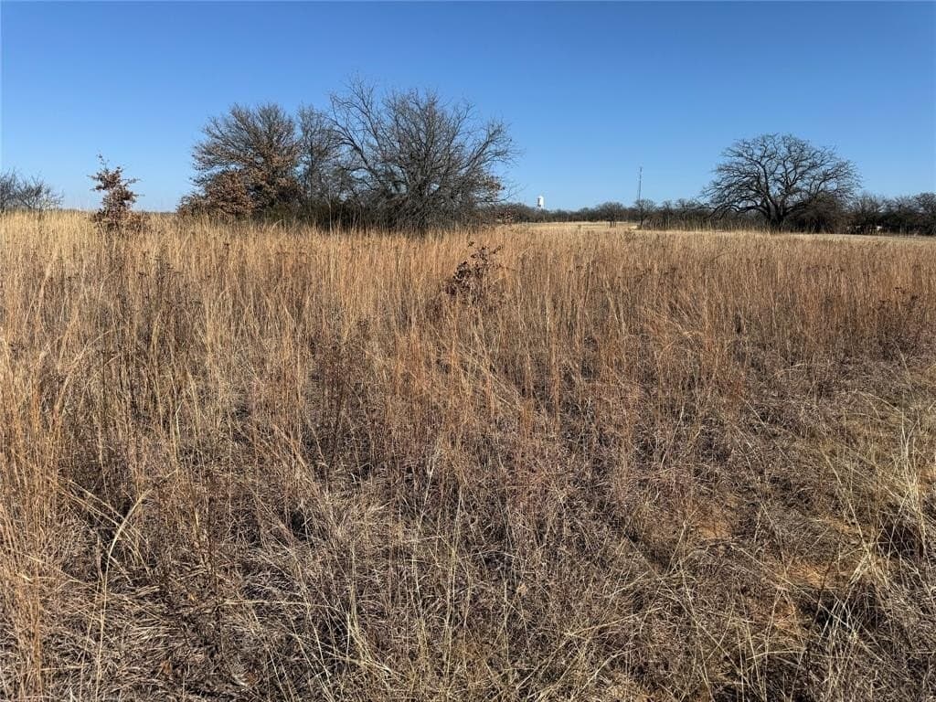0.3 acres in Montague County