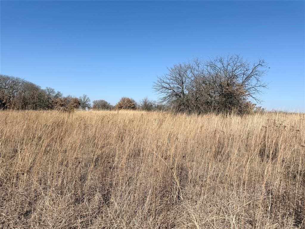 0.3 acres in Montague County gallery image 3