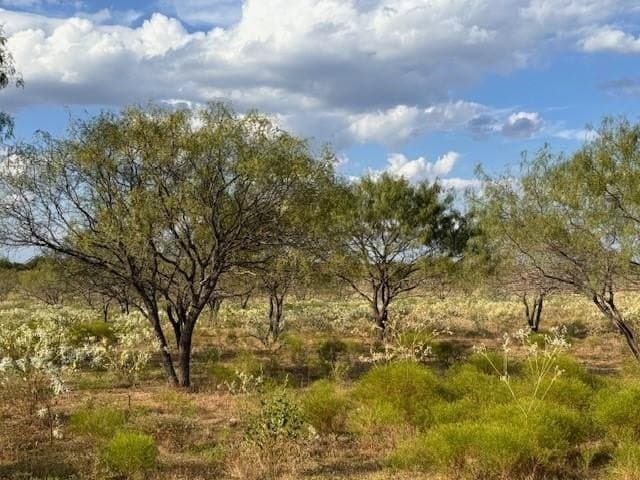 17.37 acres in Navarro County gallery image 3