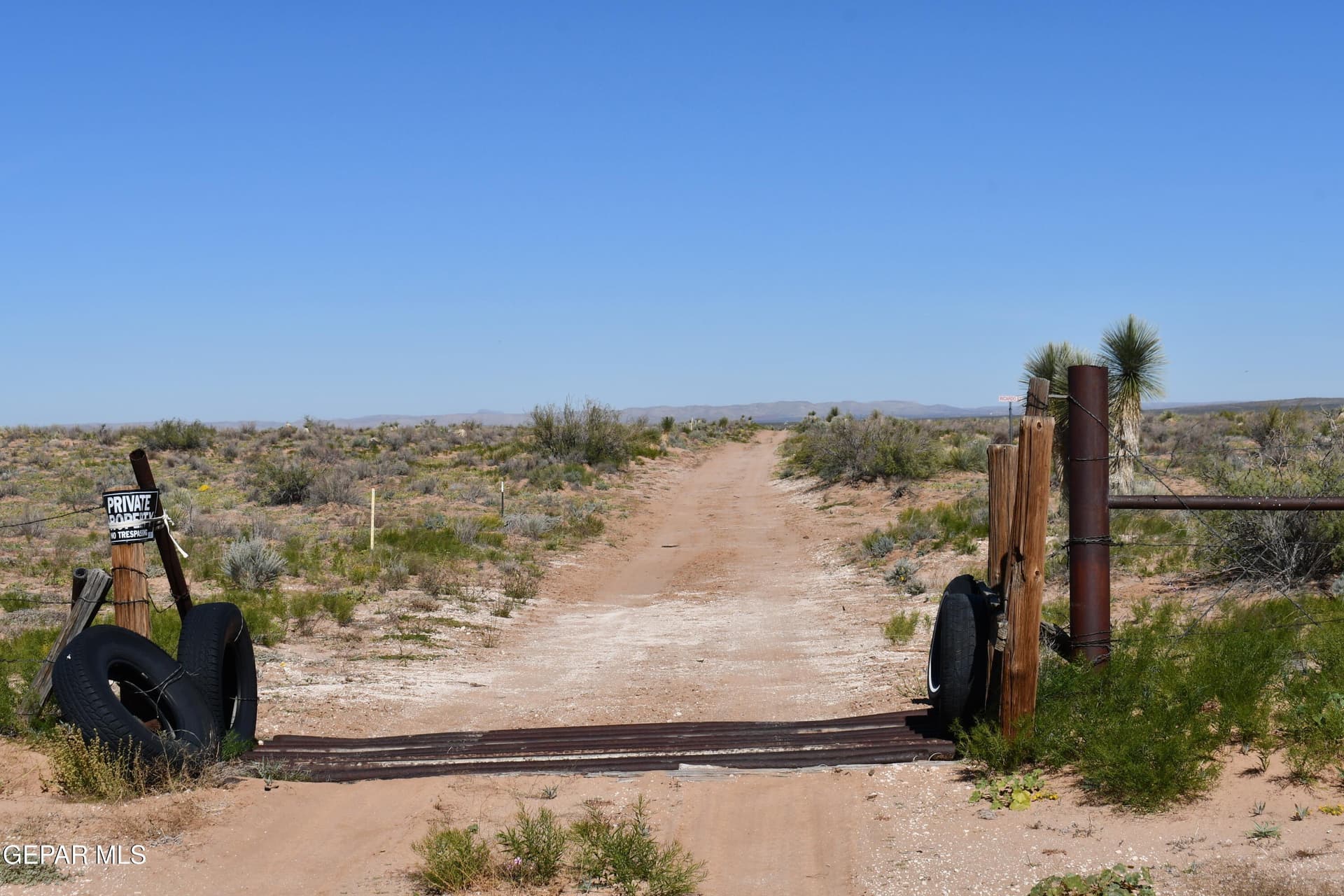 20.01 acres in Hudspeth County gallery image 3