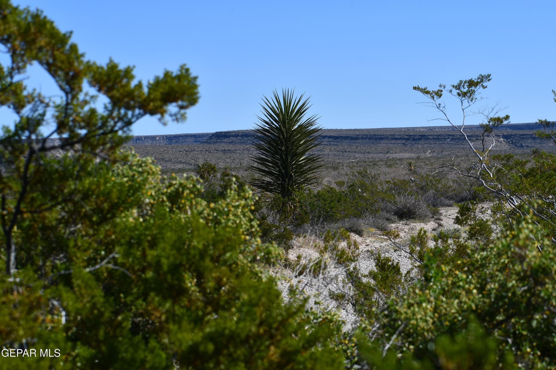 20.01 acres in Hudspeth County - photo 9