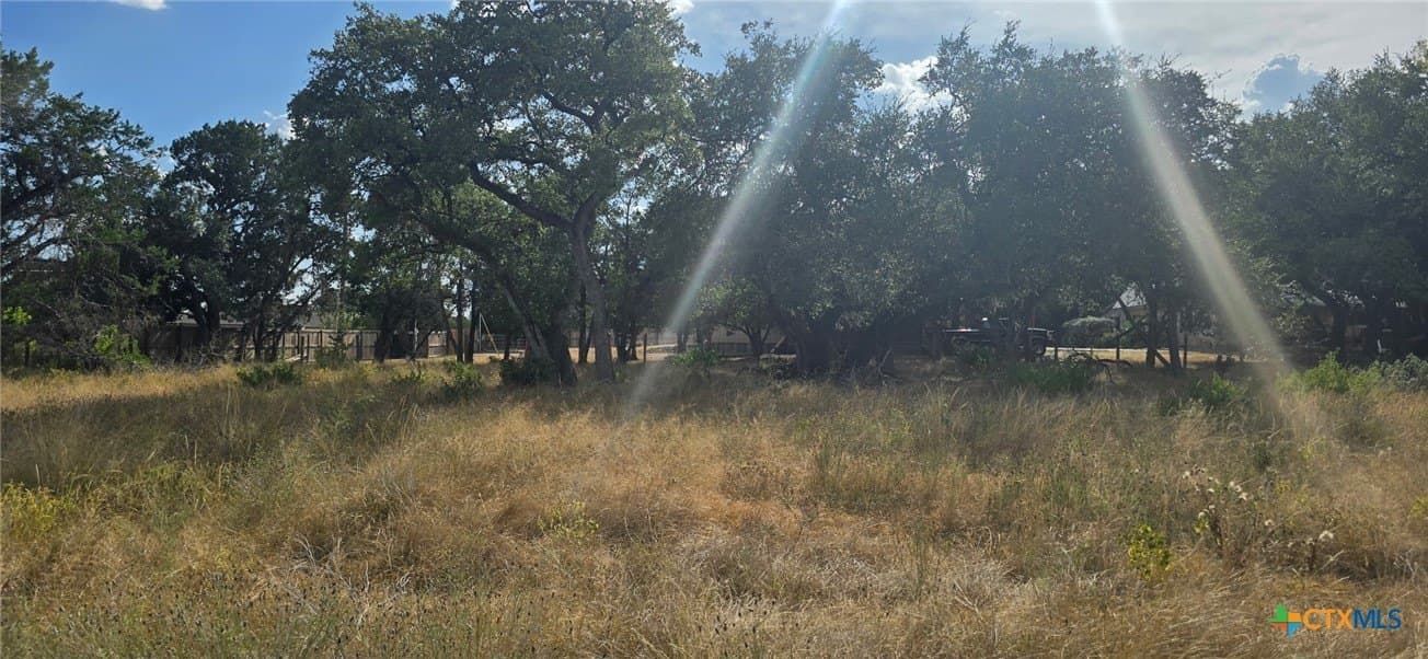 0.21 acres in Comal County gallery image 2