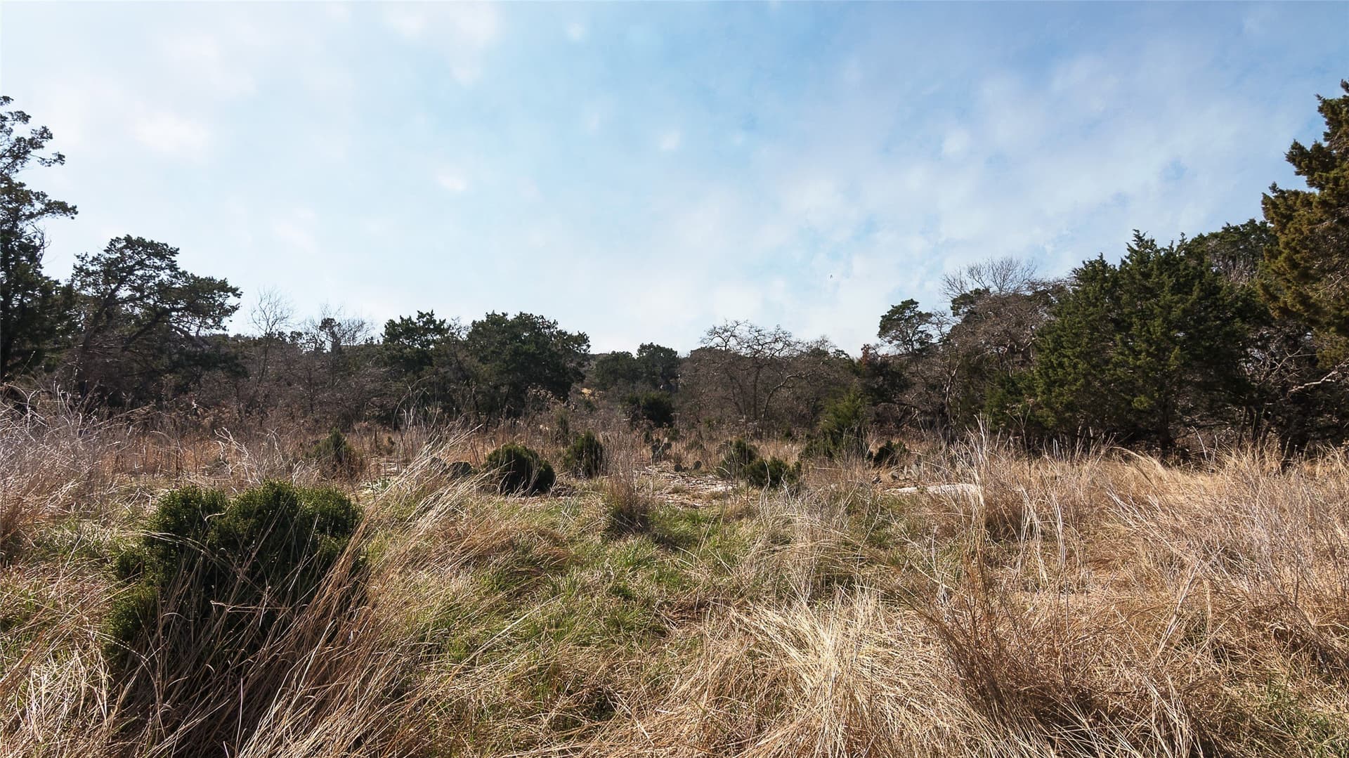 0.35 acres in Bell County - photo 9