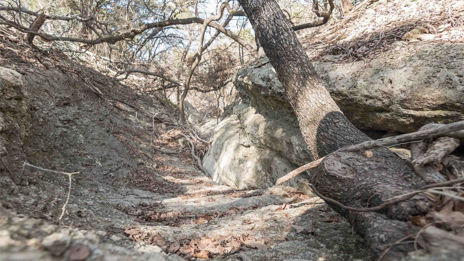 0.35 acres in Bell County - photo 11