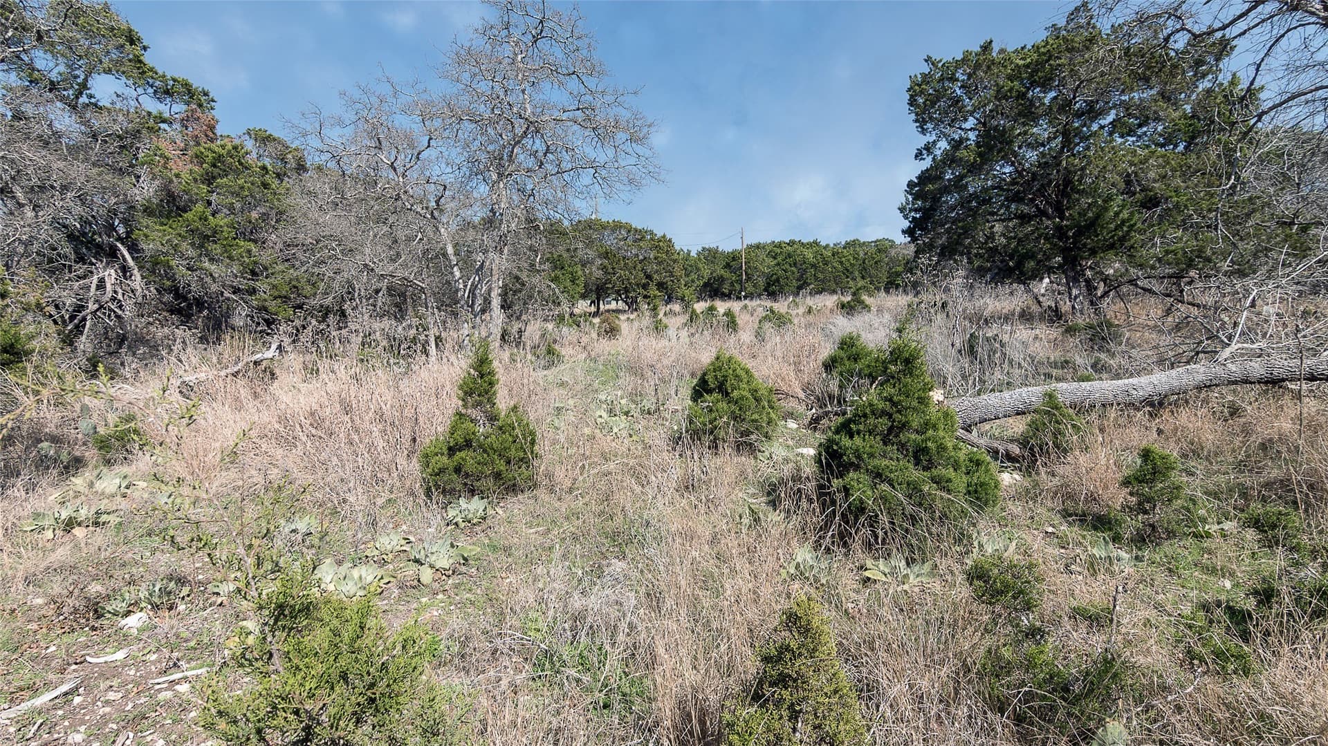 0.35 acres in Bell County - photo 10