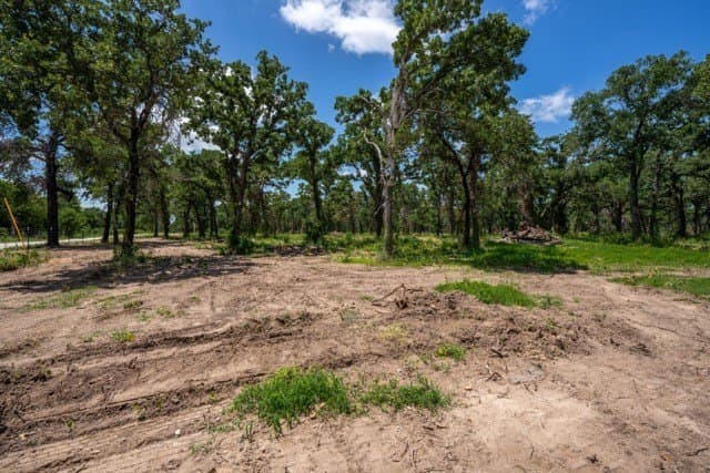 10 acres in Parker County - photo 14