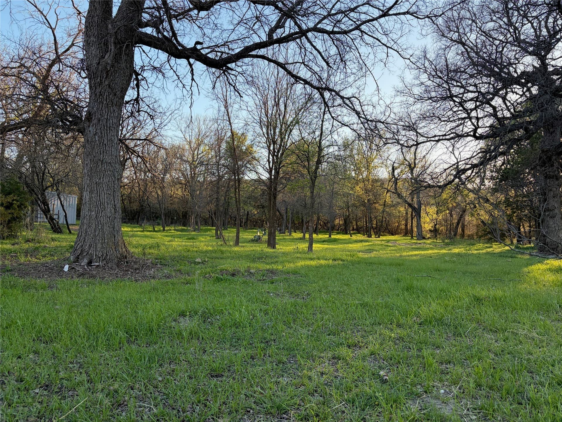 2.09 acres in Palo Pinto County - photo 2