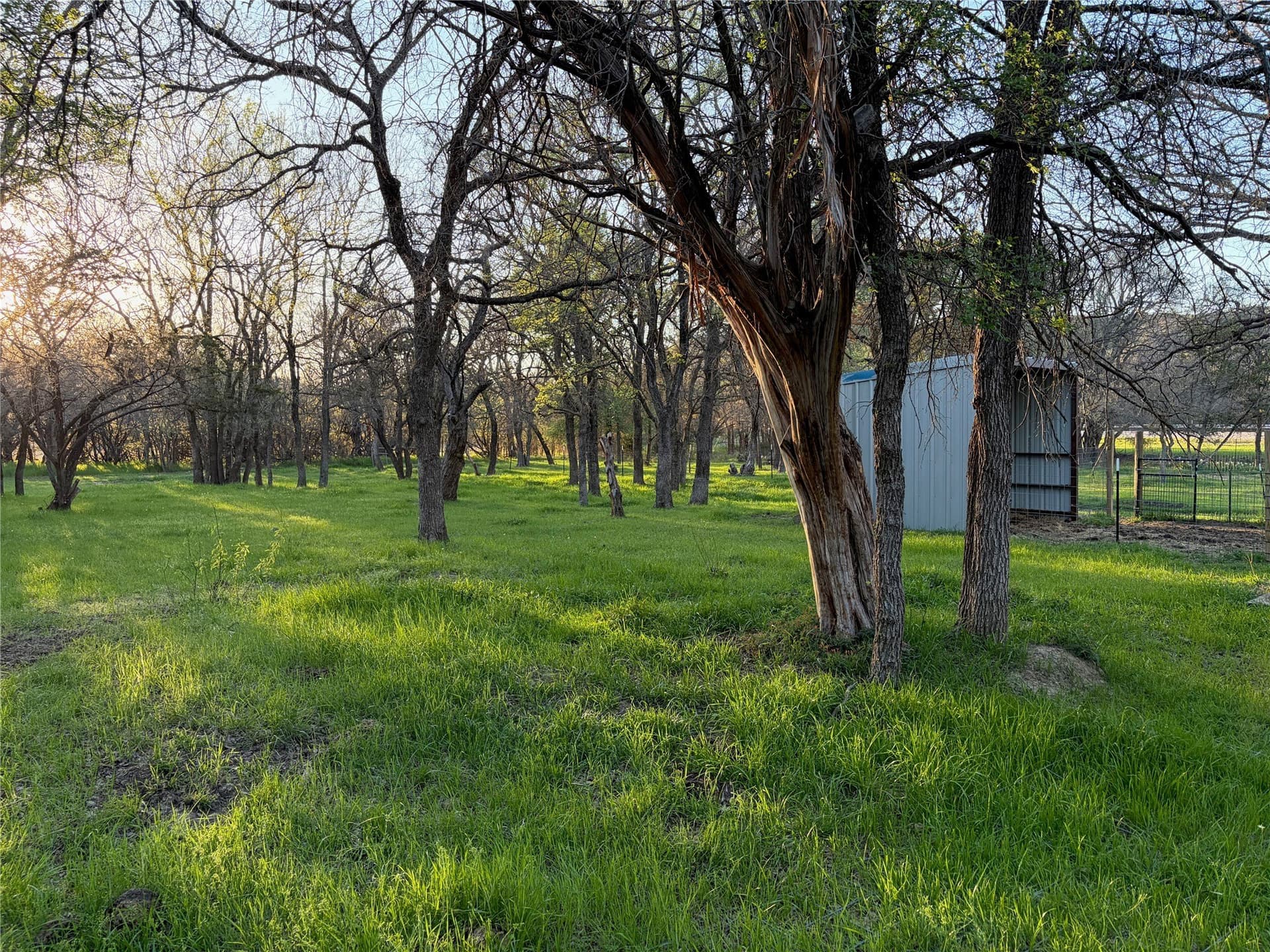 2.09 acres in Palo Pinto County - photo 3