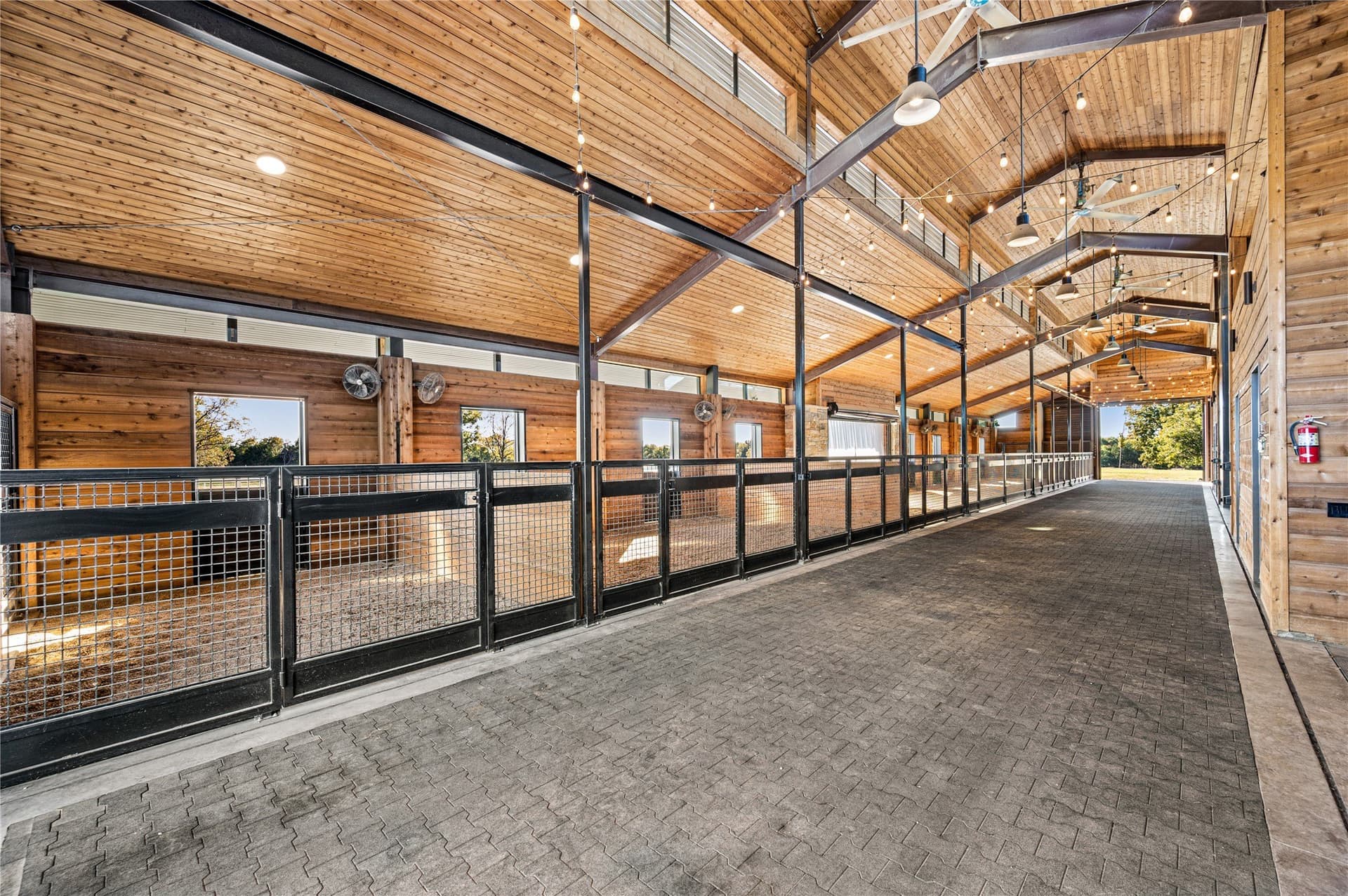 49.8 acres in Collin County - photo 12