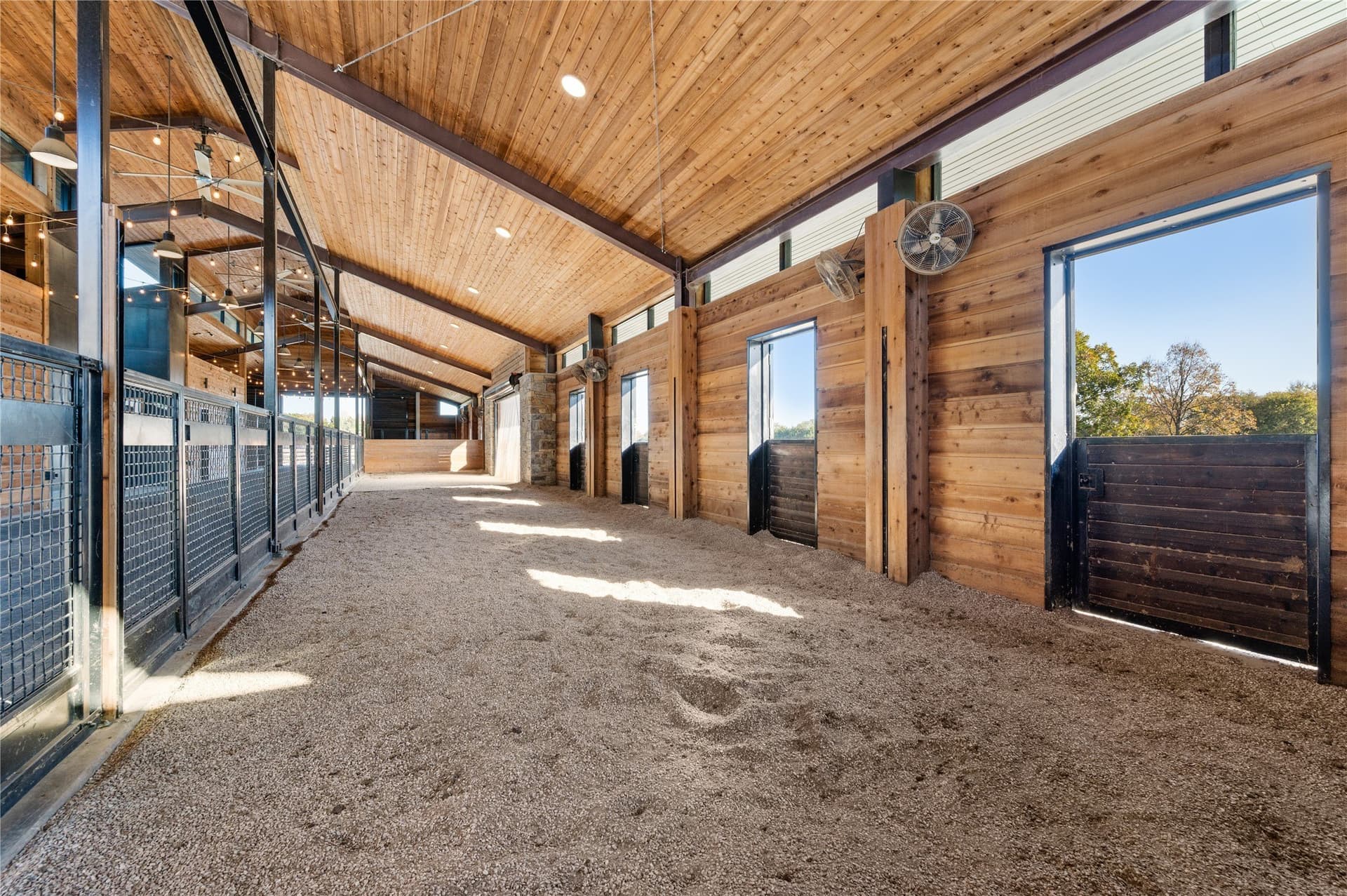 49.8 acres in Collin County - photo 15