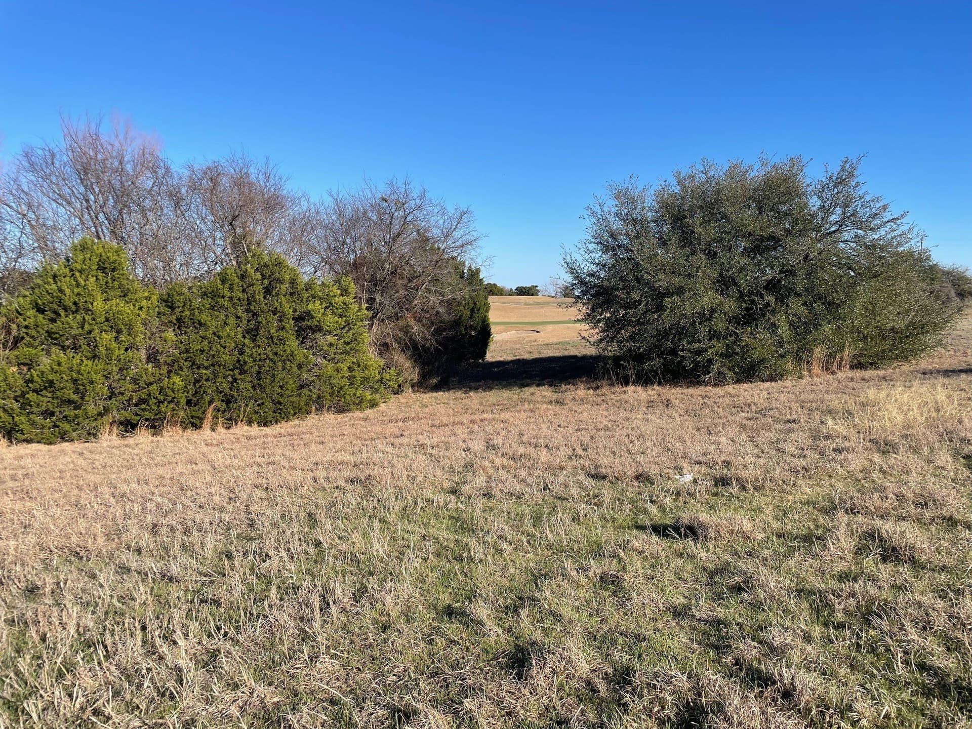 0.37 acres in Johnson County - photo 12