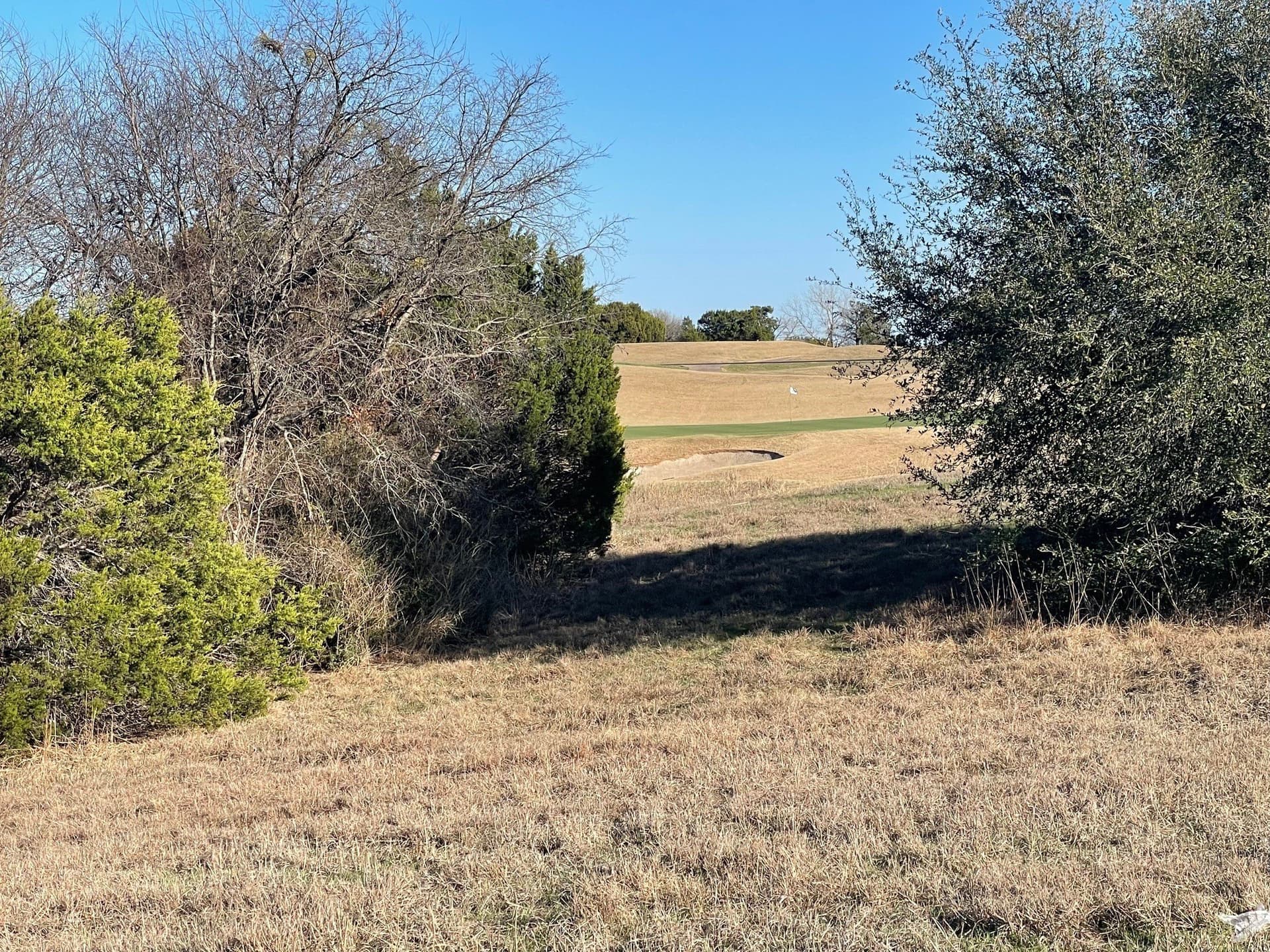 0.37 acres in Johnson County - photo 13