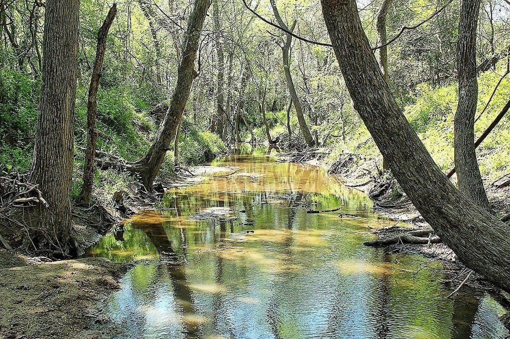 33.6 acres in Colorado County gallery image 3