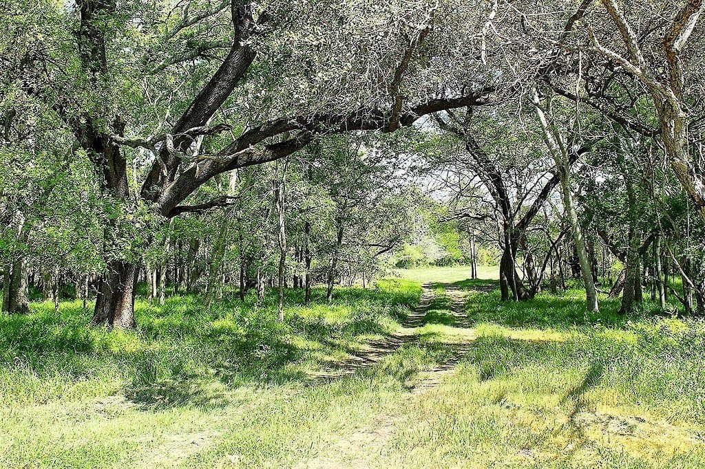 33.6 acres in Colorado County