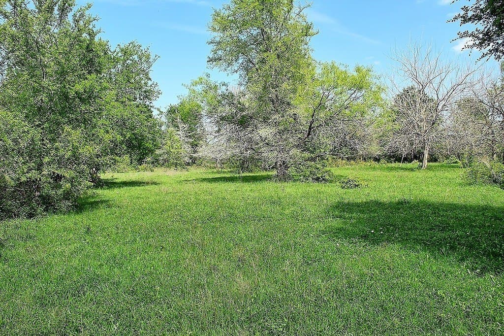 33.6 acres in Colorado County - photo 14