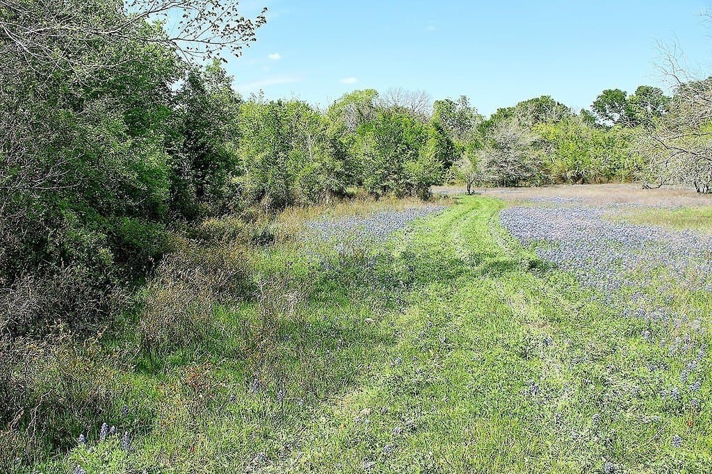 33.6 acres in Colorado County - photo 11